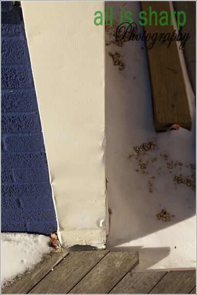 Preconstruction-067-4189040