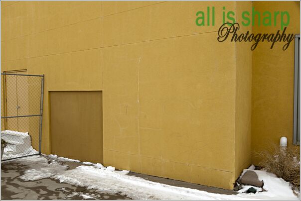 Preconstruction-084-4190029
