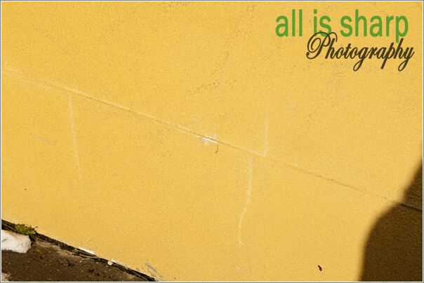 Preconstruction-087-4189058