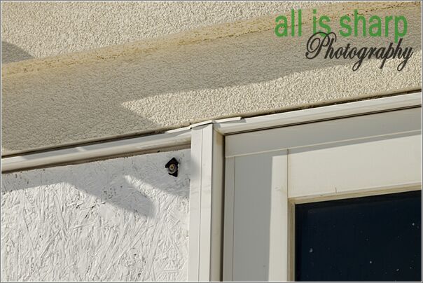 Preconstruction-116-4189087